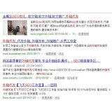 淄博朱安安：SEO外链代发行业大揭密